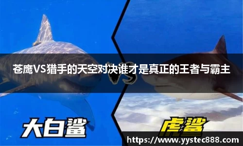 苍鹰VS猎手的天空对决谁才是真正的王者与霸主